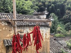 -杨家堂村