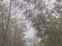 -梅岭月亮湾山体公园