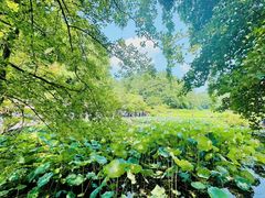 -韶山毛泽东同志故居