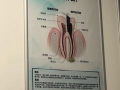 -上海市东方医院(总院)
