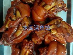 水库活鱼馆-水库活鱼馆(于桥水库店)