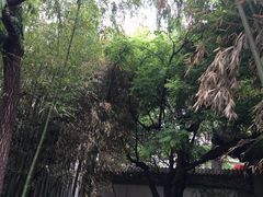 -茶肆(袁家村店)