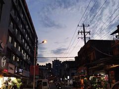 -溪岸路花鸟市场