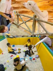 -酷嗒动物文化乐园(cutezoo西溪乐天城店)