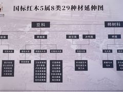 -龙天小镇