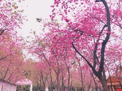 -昆明动物园
