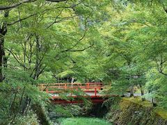 -三千院