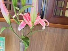 -柴火大院烤鸭民间菜