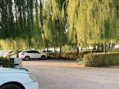 -丁香湖公园