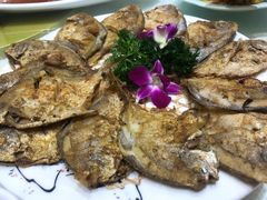 铁板煎仓鱼-开鑫鱼厂·宁波海鲜(前程智慧城店)