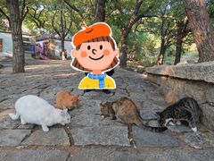 -泰山风景名胜区-普照寺