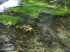 -水磨沟公园