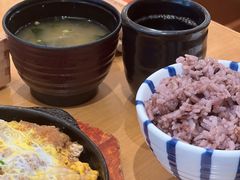 -胜博殿日式炸猪排(悠唐店)