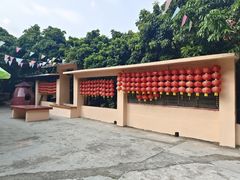 -风云岭森林公园