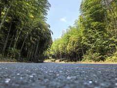 -莫干山风景区