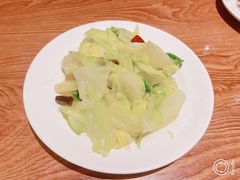 炝炒圆白菜-清真吴记门钉肉饼·喜多利