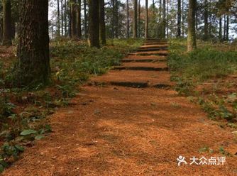 呼吸新鲜空气，安逸的不想动。动