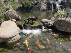 -罗红摄影艺术馆