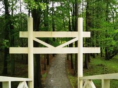 -上海共青森林公园