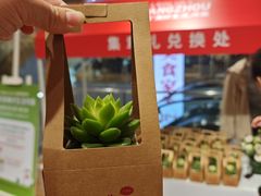 -VT101维多利广场