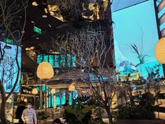 -桂满陇·海市蜃楼·黑金(国金店)