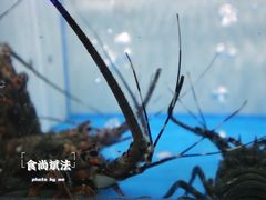 -质烤烤物·活烤海鲜(质烤总店)