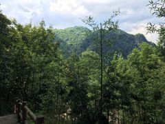 -藏龙百瀑风景区