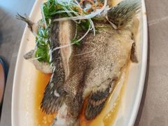 -创味·民间海南菜·非遗藤桥排骨(藤桥·免税城店)