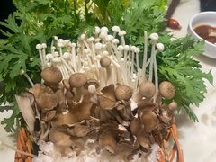 -涮福記·现切牛羊肉火锅(世纪汇店)
