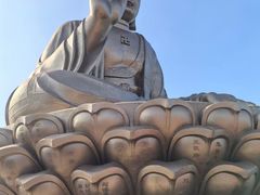 -龙口南山旅游景区