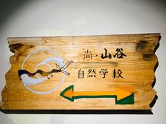 -日光山谷营地乐园
