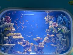 -海合安武汉极地海洋公园