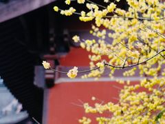 -钱王祠