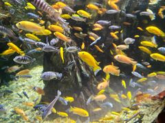 -太平洋海底世界