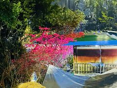 -小象钓虾·营地烧烤(洛溪店)