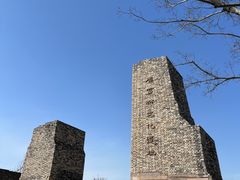 -广富林郊野公园