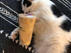 冰淇淋红茶-1点点(阜通店)