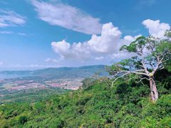 -亚龙湾热带天堂森林公园