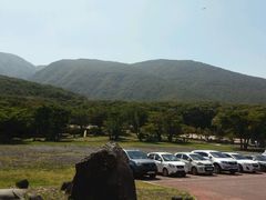 -汉拿树木园