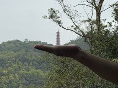 -大雁山风景区