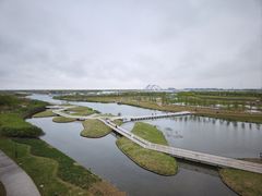 -春花秋色城市公园