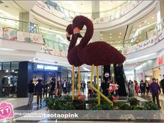 -凯德广场(学府店)