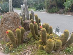 -墨尔本皇家植物园