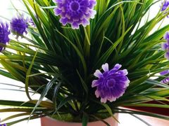 -古城苗家土菜馆(河景餐厅店)