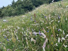 -白草畔自然风景区