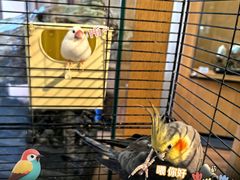 -阜昌典当行(阜成门店)