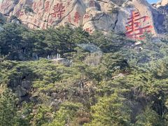 -崂山仰口游览区