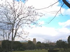 -复旦大学江湾校区食堂