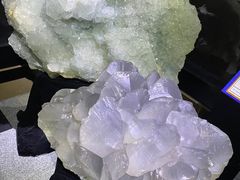 -中国地质大学逸夫博物馆