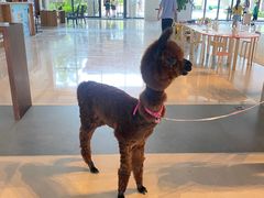 -海陵岛保利皇冠假日酒店·御公馆中餐厅 CANAL LNUA